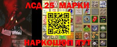 шишки Сланцы